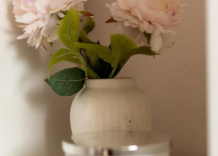 Seaside Renovated 2br 1 Minute Walk To The No Car Needed Appartement Potidée